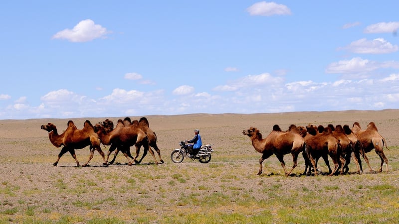 Temporal Nomads